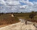 Pavimentação da 2ª estapa da avenida Dolores Macena (estrada de Canafístula} segue avançando